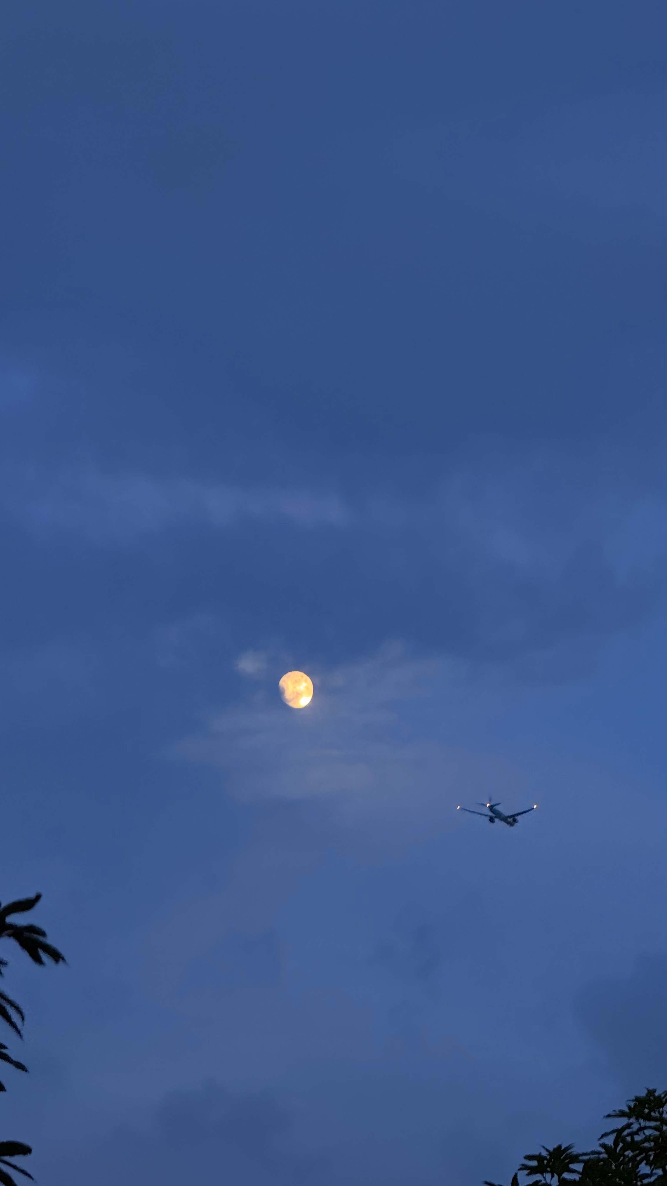 🌕 