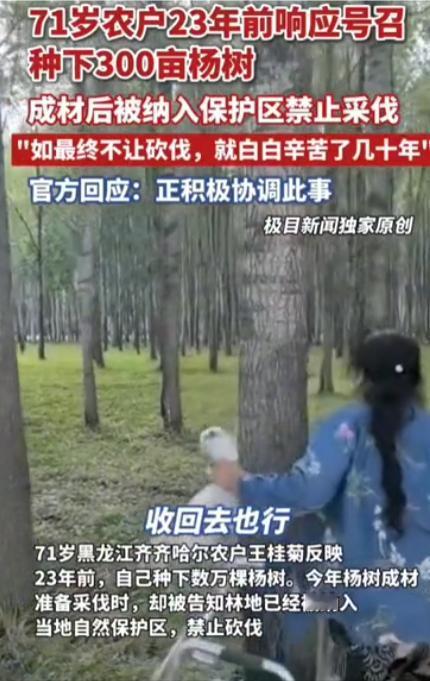 黑龙江齐齐哈尔市，72岁农妇，在23年前，种了300亩杨树，有数万棵，投资了10