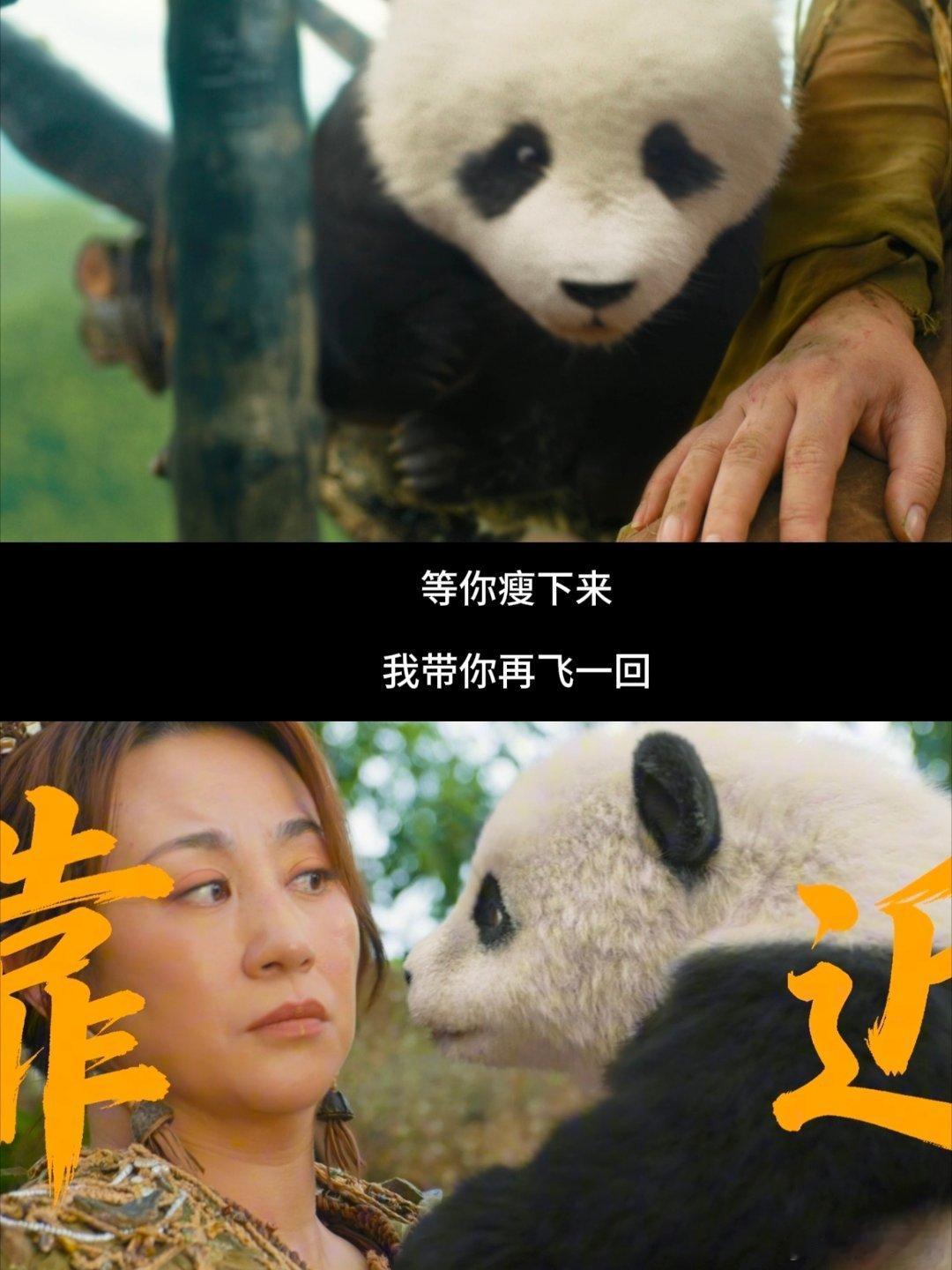 爱要大声说才会有回音原来爱真的像胡胡教的那样，不是默默藏在心里，而是让对方清清楚