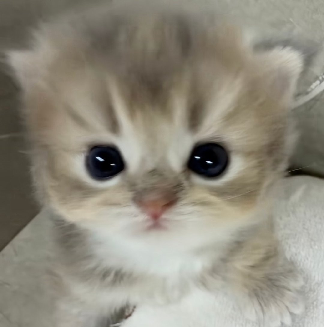 起床。。 