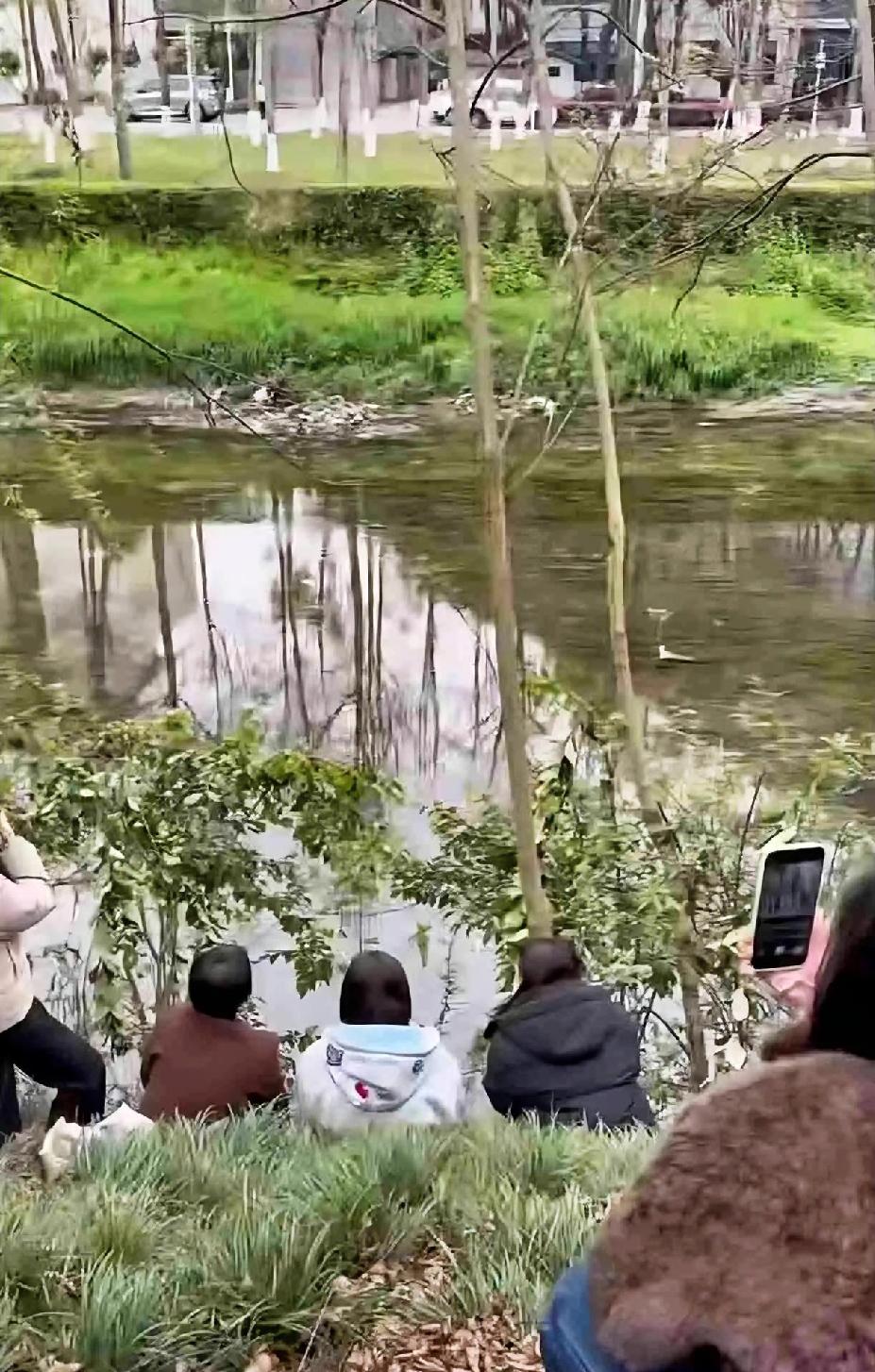 终于看到成都乒乓球基地那条河了，
原来球迷都是蹲在这里拍的，
真是难为他们了。