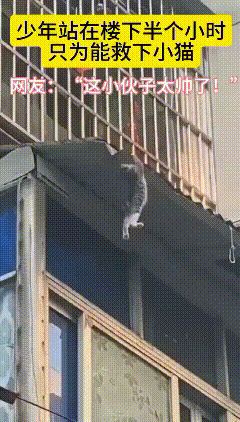 视频看哭无数人！一只小猫不慎卡在阳台架子上，身体悬空，摇摇欲坠，随时可能摔下来，