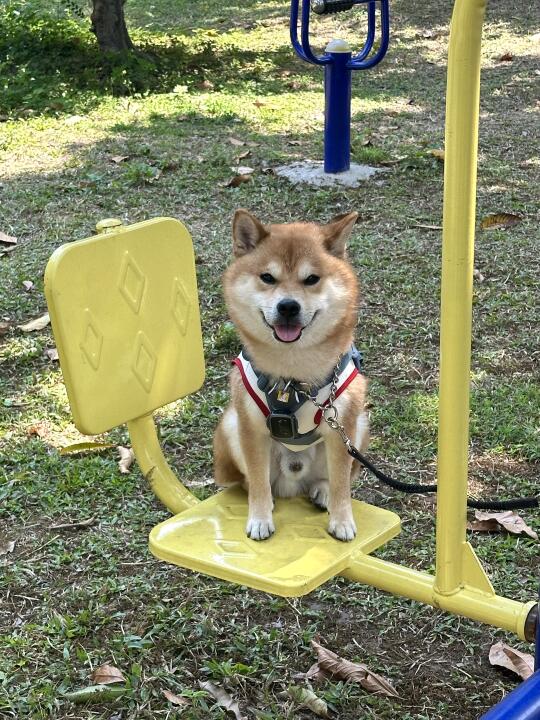 人！放学等你！🛝