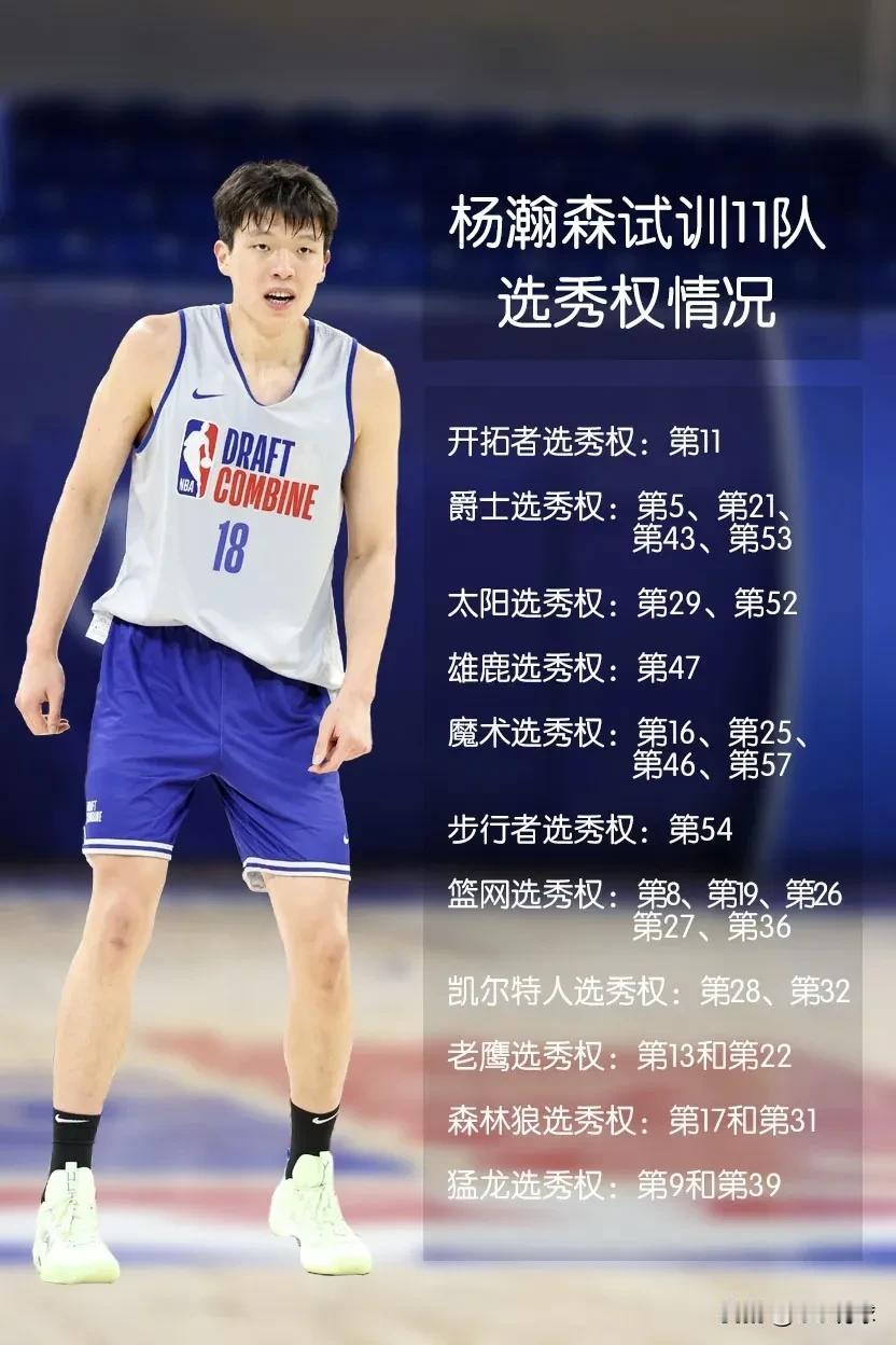 杨瀚森目前已经参加了十一队的试训，分别是开拓者、爵士、太阳、雄鹿、魔术、步行者、