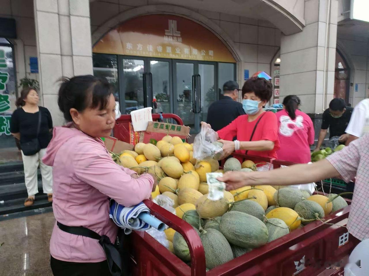 1.气候，候鸟千里迢迢来海南就是奔着温度来的，海口冬天阴冷潮湿，更接近广东广西的