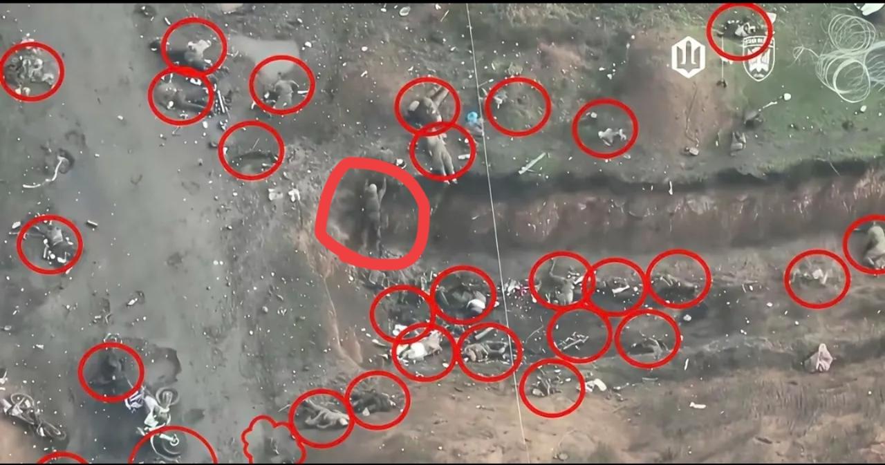 可怕的死亡密度！一张照片里就有30多具死尸！

 
刷到红军村前线的无人机实拍，