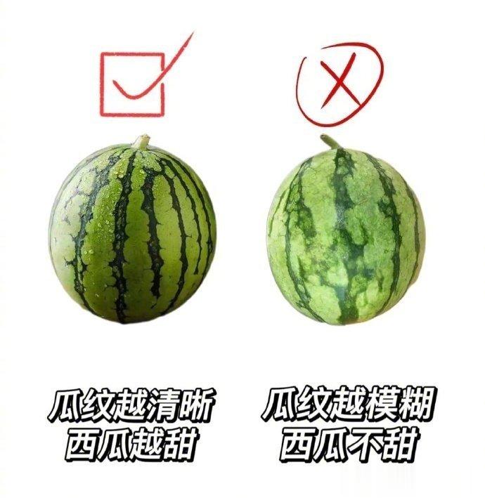 这样挑西瓜想不甜都难，我不允许还有人不会挑西瓜！！ ​​​