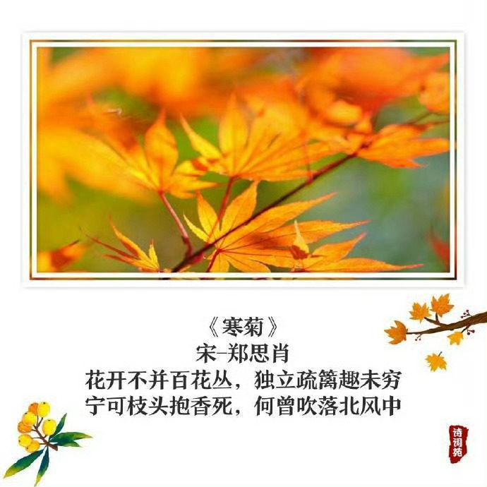 诗人笔下的秋天到底能有多美！！ 