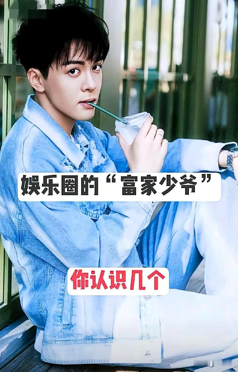 娱乐圈的17位富家少爷
金汤匙出身的顶流光环
天生主角剧本
你认识几个？