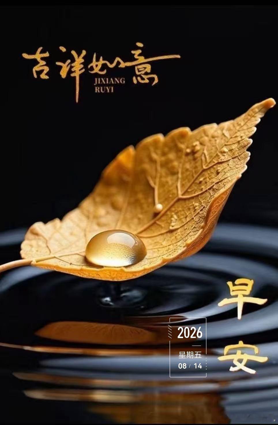 周五，末伏的清晨问声早安，夏天真的要收尾了呀 上海