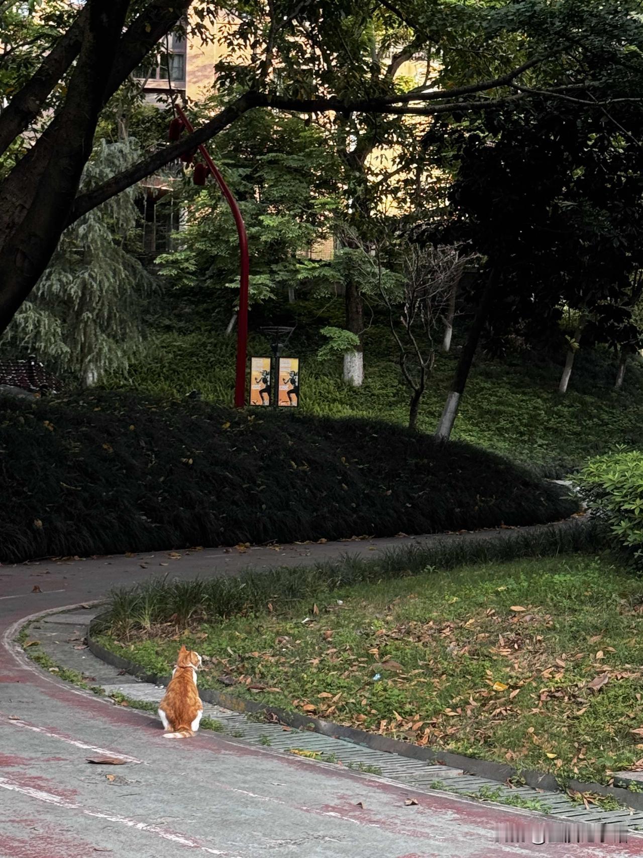 听同事说她家里的事，让我震惊，她爸妈的饮食习惯，简直离谱到极致，一口新鲜的蔬菜水