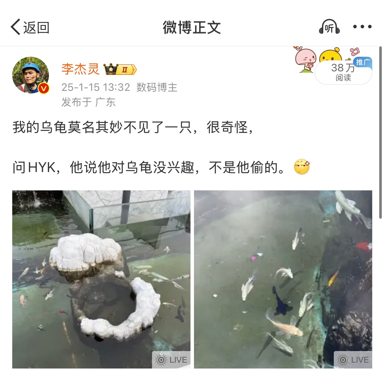 今天上来喂鱼发现三只乌龟又都在了，没有丢，上次错怪HYK了，我对不起他。[泪] 