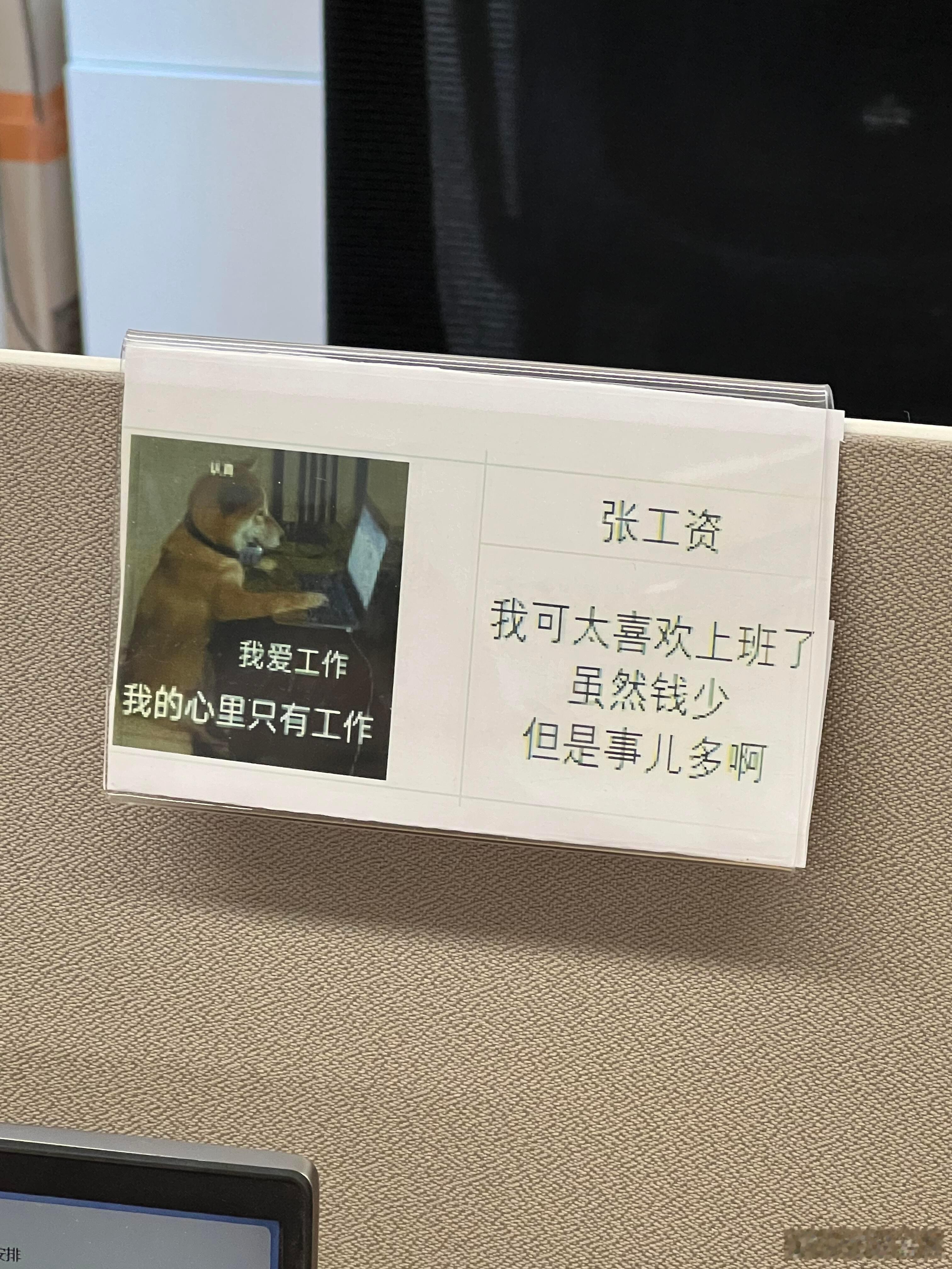 #好喜欢00后打工人淡淡的疯感#零零后这一代真的是让人很意外呀，打工人的精神状态