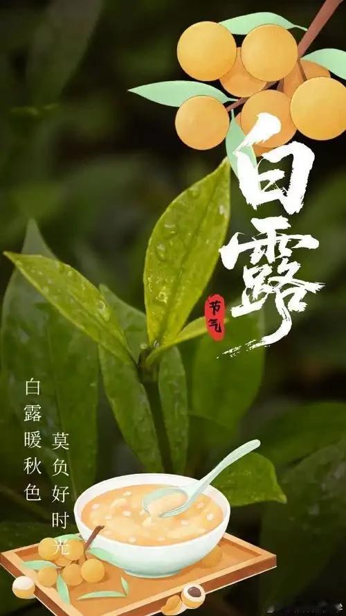 秋燥容易耗伤津液，记得适量补水。起居尽量早睡早起，舒缓情志，排解秋日的低落情绪。