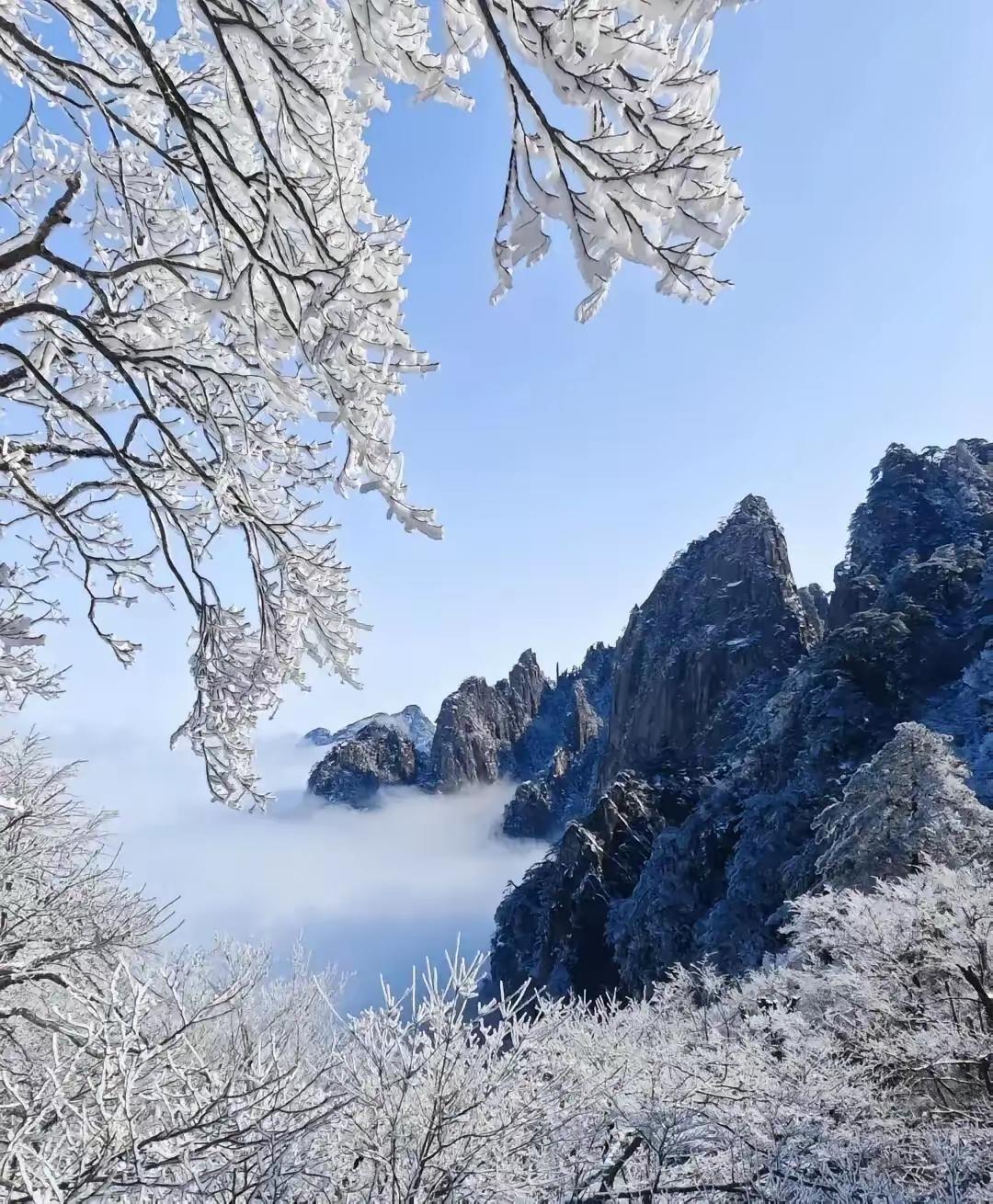 否定一切也是一种抬杠，且不止于抬杠
2026年01月28日

最近在网上，只是出