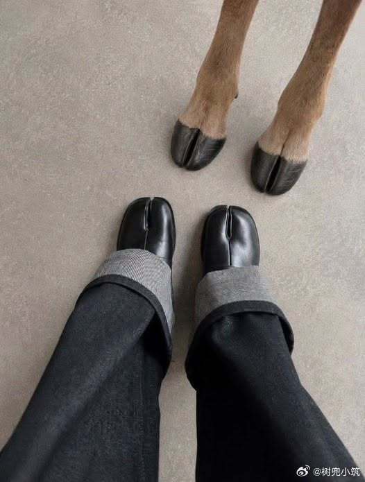 它们好像因为推主的鞋子就认为推主是它们的其中一员。 