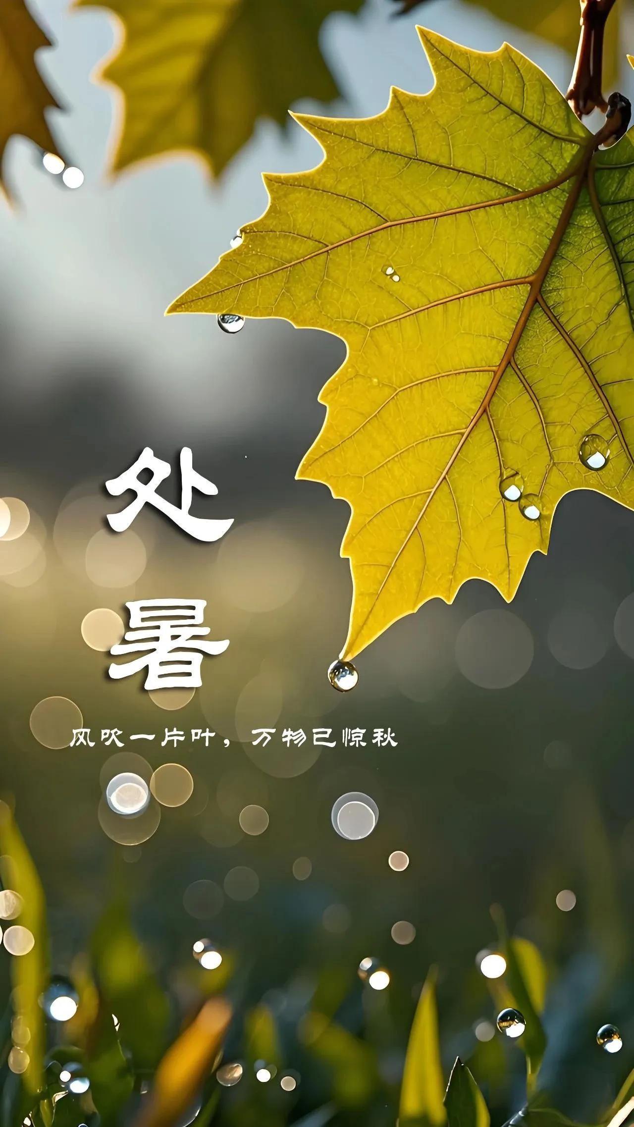 今日处暑。
所谓处暑，便是暑尽的意思。

〔宋〕苏泂有诗：
处暑无三日，
新凉直