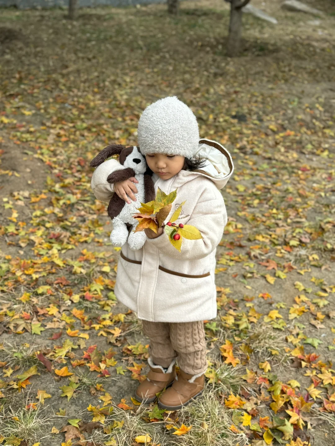 秋天的北京真的很适合遛娃。