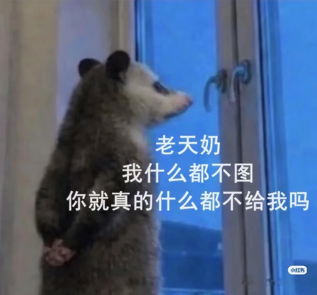 负鼠表情包 非常可爱的负鼠表情包，大家都还有哪些搞笑的欢迎补齐搞笑 表情包 鼠鼠