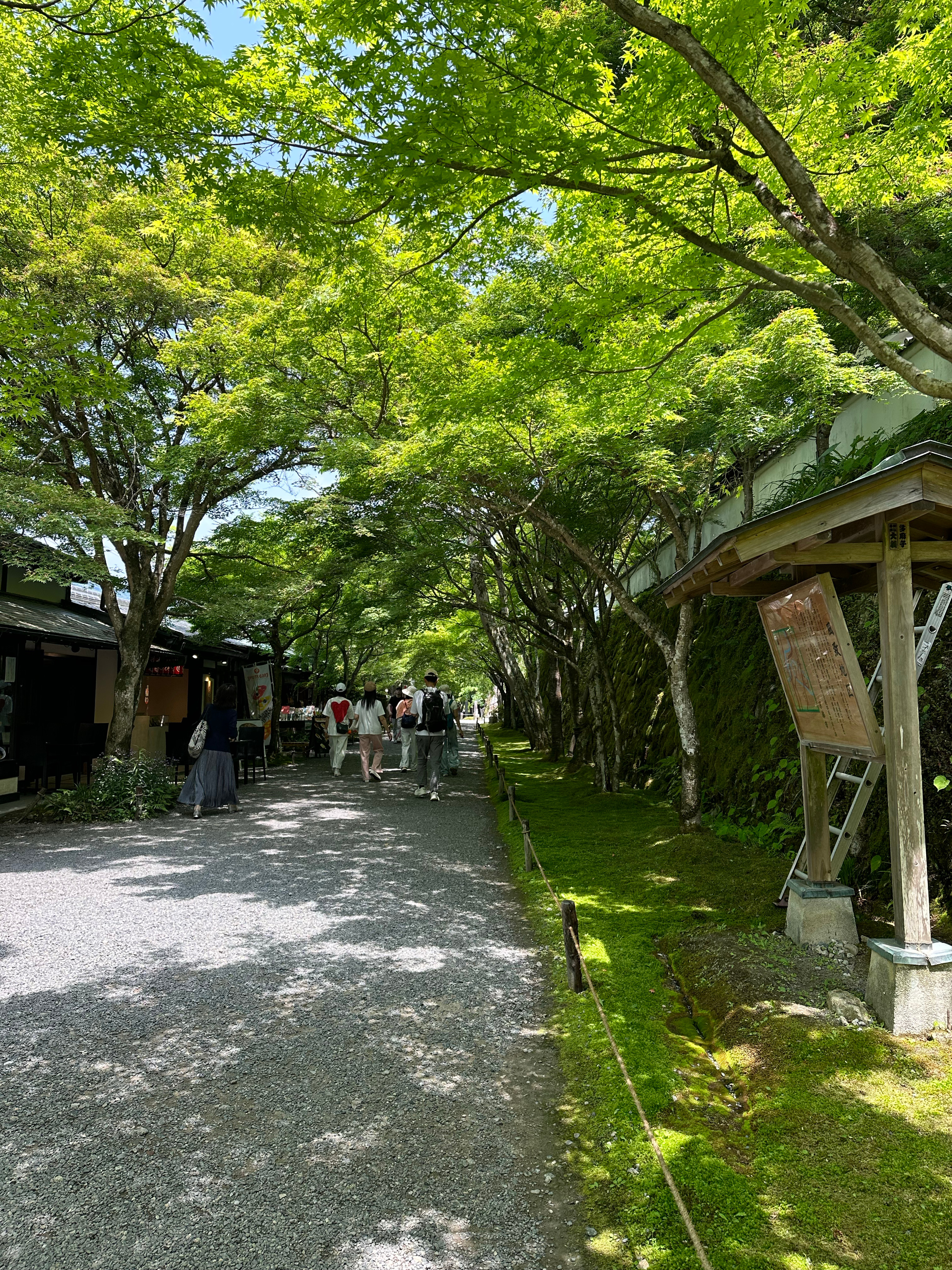 PLOG.122 [微风]盐盐的日常来京都感受夏天啦！去的时候不冷不热，温度刚刚