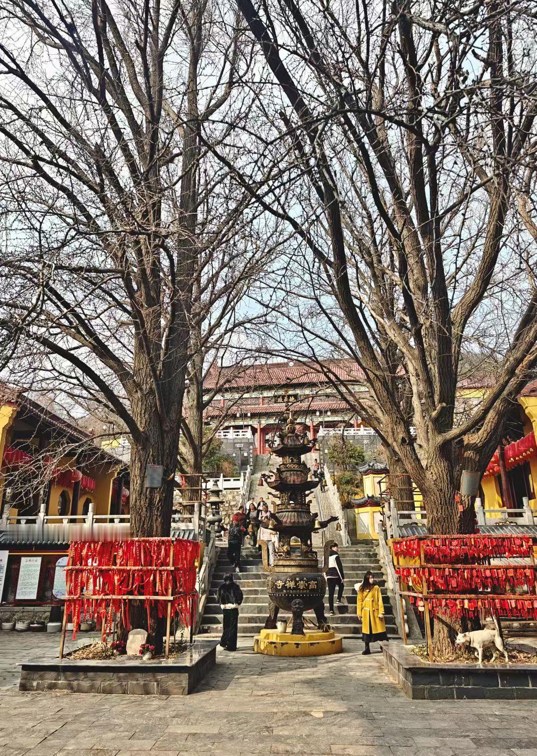 不知道你们有没有过这种经历：明明自己没做错啥，却总忍不住跟人掰扯清楚。比如朋友误