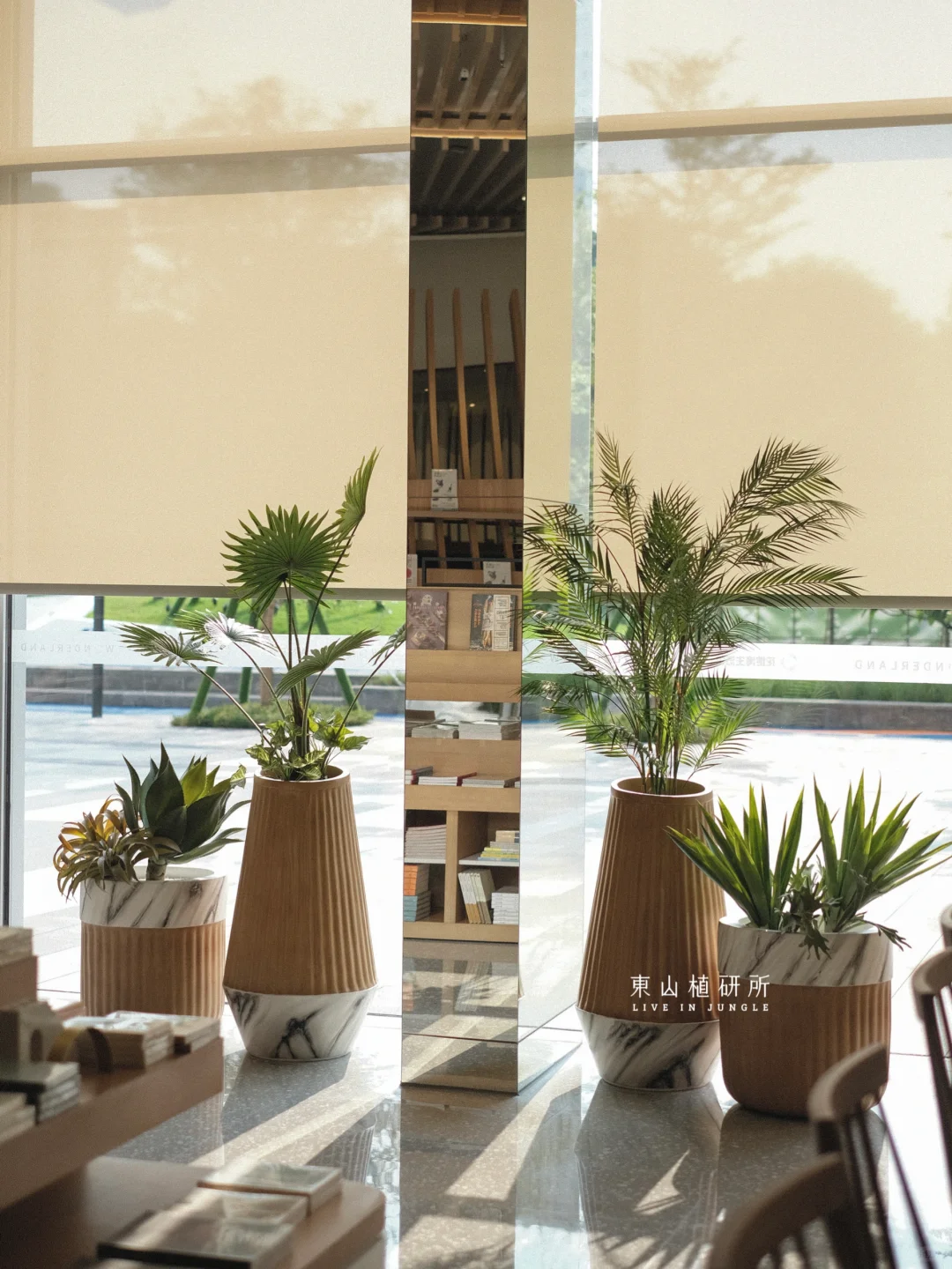 植物组盆| 惬意的绿🍃商业空间仿真植物搭配