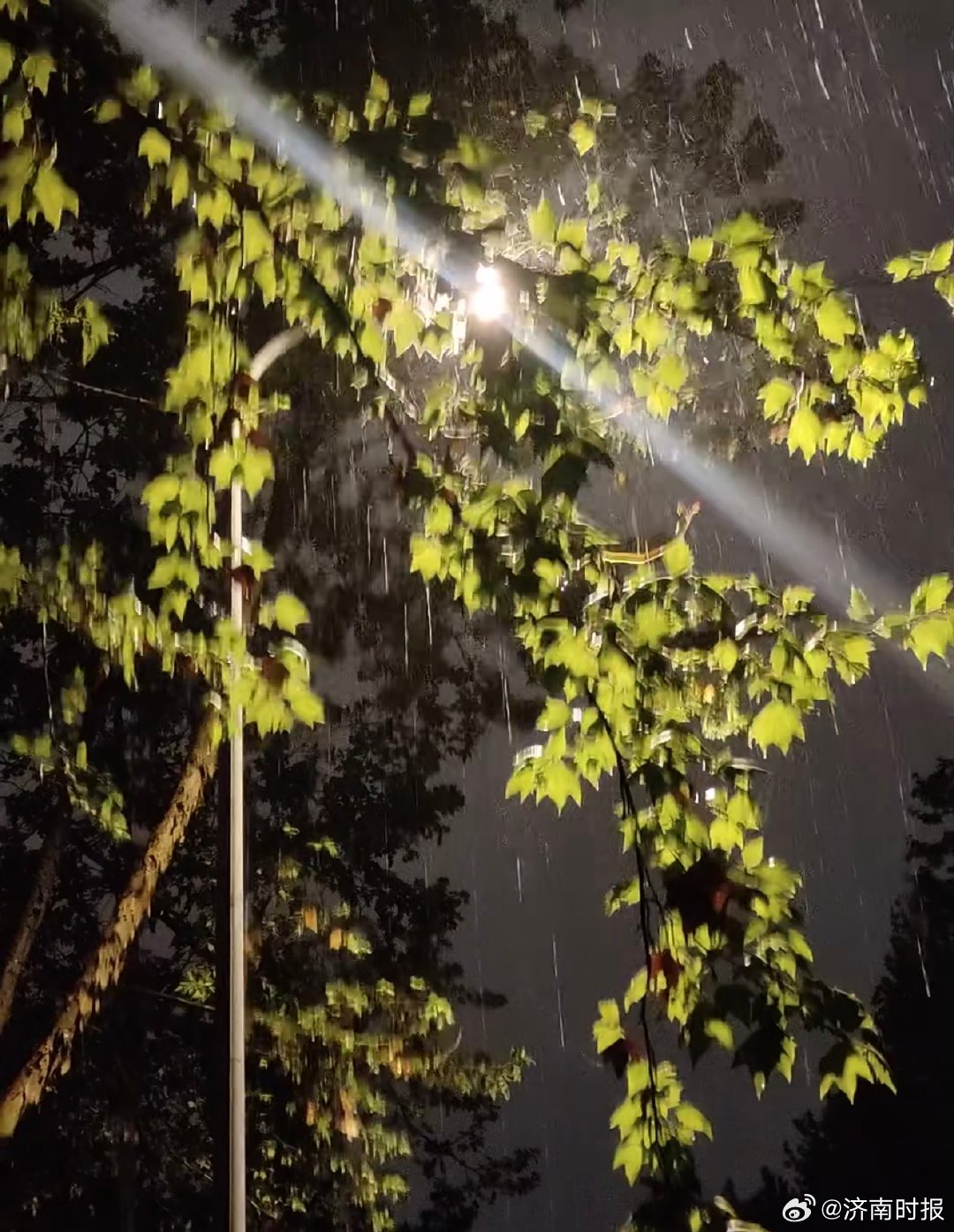 【#山东多地人工增雨#】根据最新预报，今天（4月8日）下午至9日白天，鲁南、鲁中