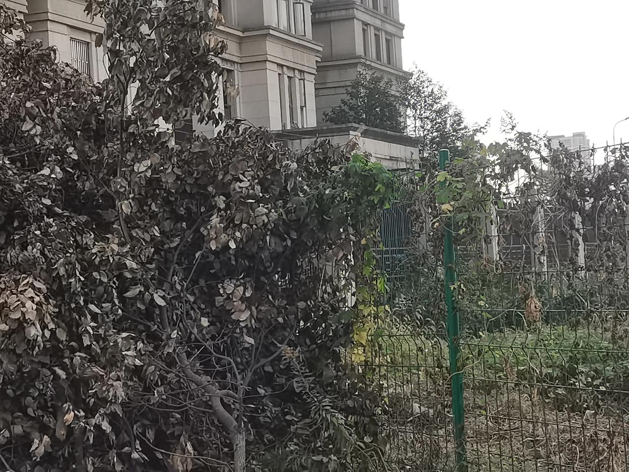  好像这大半年过得十分艰难，从