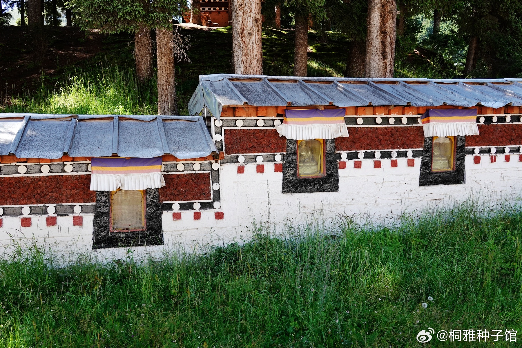 1356. 中国最美寺庙～～郎木寺。 阿坝·郎木寺景区