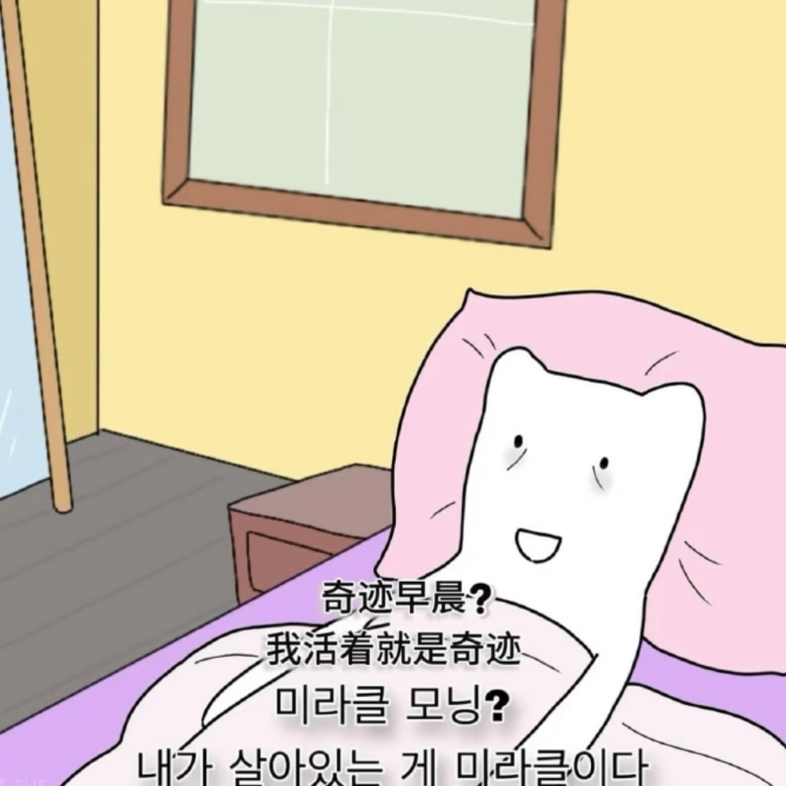很喜欢早起有一种棺材板被掀飞的迷茫感 
