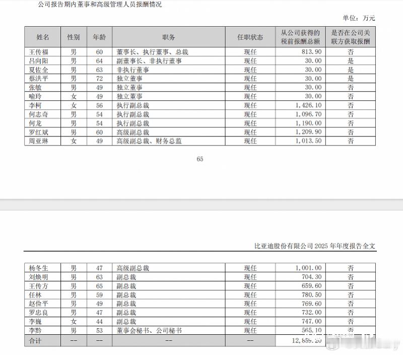 你去看看比亚迪财务的复杂程度就知道，财务总监周亚琳一定得拿这1013.5万元税前