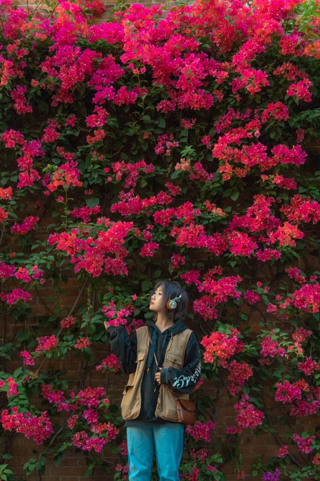 近期实拍广州赏花攻略！想要全是花的评论区