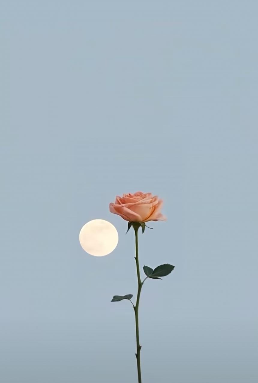 持高息存单笑等到期！前几年锁定5.5%-4.5%五年期，到期后只存一年不恋长期