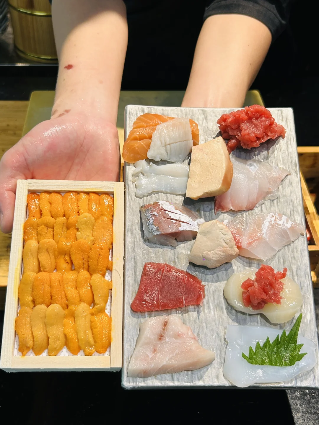 藏不住了！天河高性价比一人食Omakase‼️