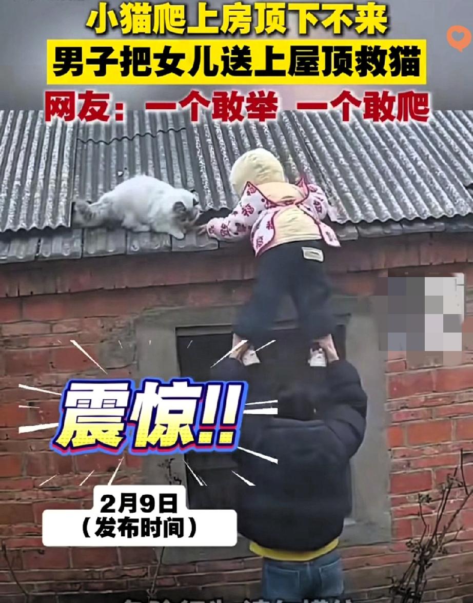 小猫咪困在屋顶不敢动，这对父女的救援方式，又暖又好笑！
 
小猫一时贪玩爬上房顶