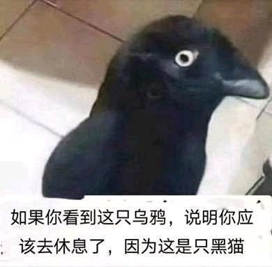 #周杰伦因感冒药写了首歌#现在压力给到了方文山……期待新歌，希望能眼前一亮[吃瓜