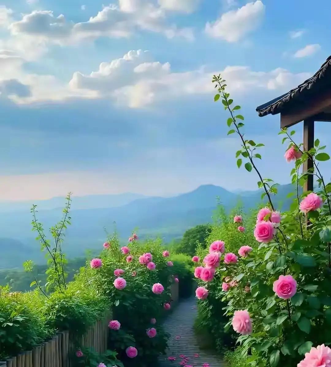 感情崩盘太常见！2025年上半年全国离婚登记133万对，很多人都栽在这些隐形坑里