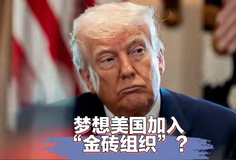 特朗普梦想美国加入“金砖组织”？美国加入“金砖组织”世界会变成什么样的？加入“上