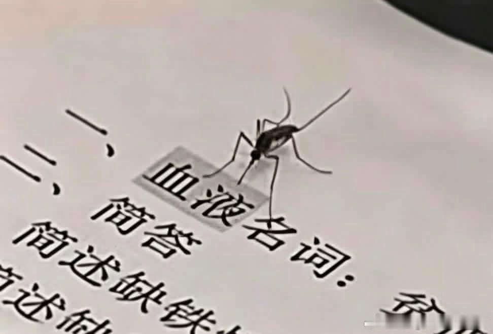 3799当我试图从虚拟世界获得爱时： 