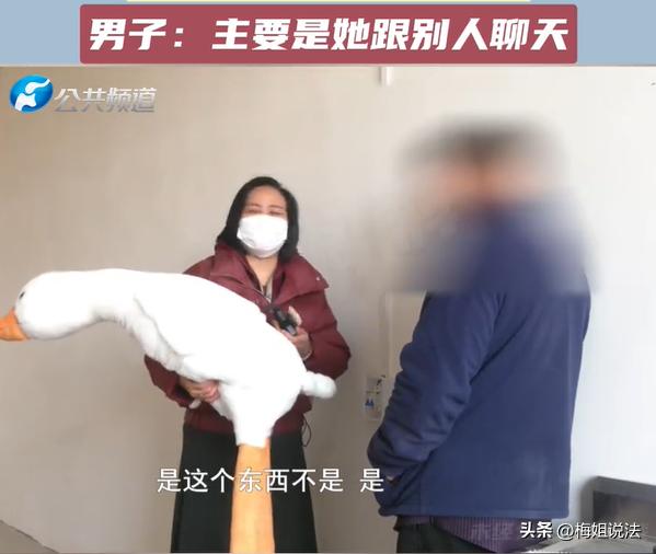 河南，一个40岁的女子少女心泛滥，很喜欢网购大白鸭玩偶，购买的时候跟平台上的帅哥