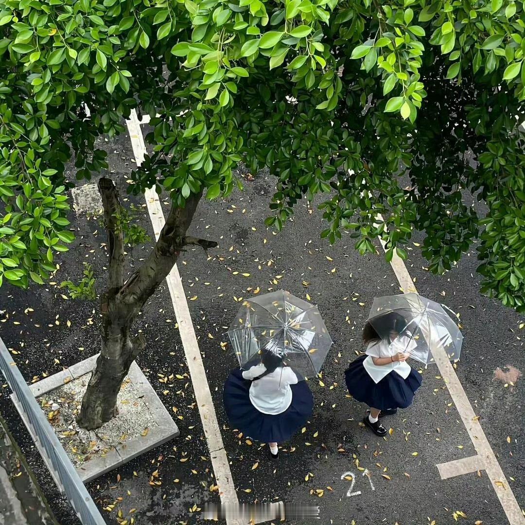 阳光信用  🍊阳光信用 🍊阳光信用斗志和干劲很重要，但更重要的，是不断坚持的