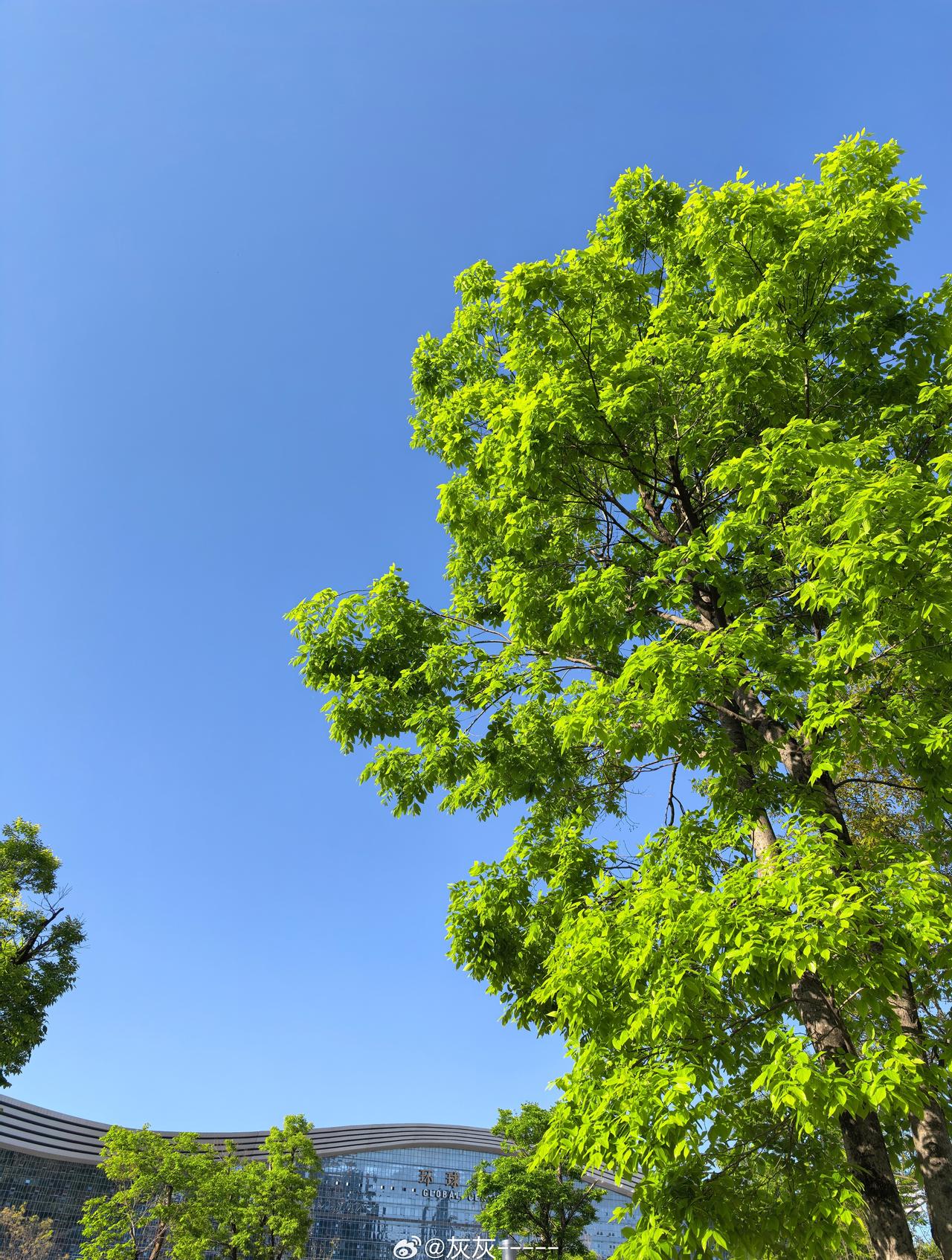 成都の超绝好天气！ ​​​