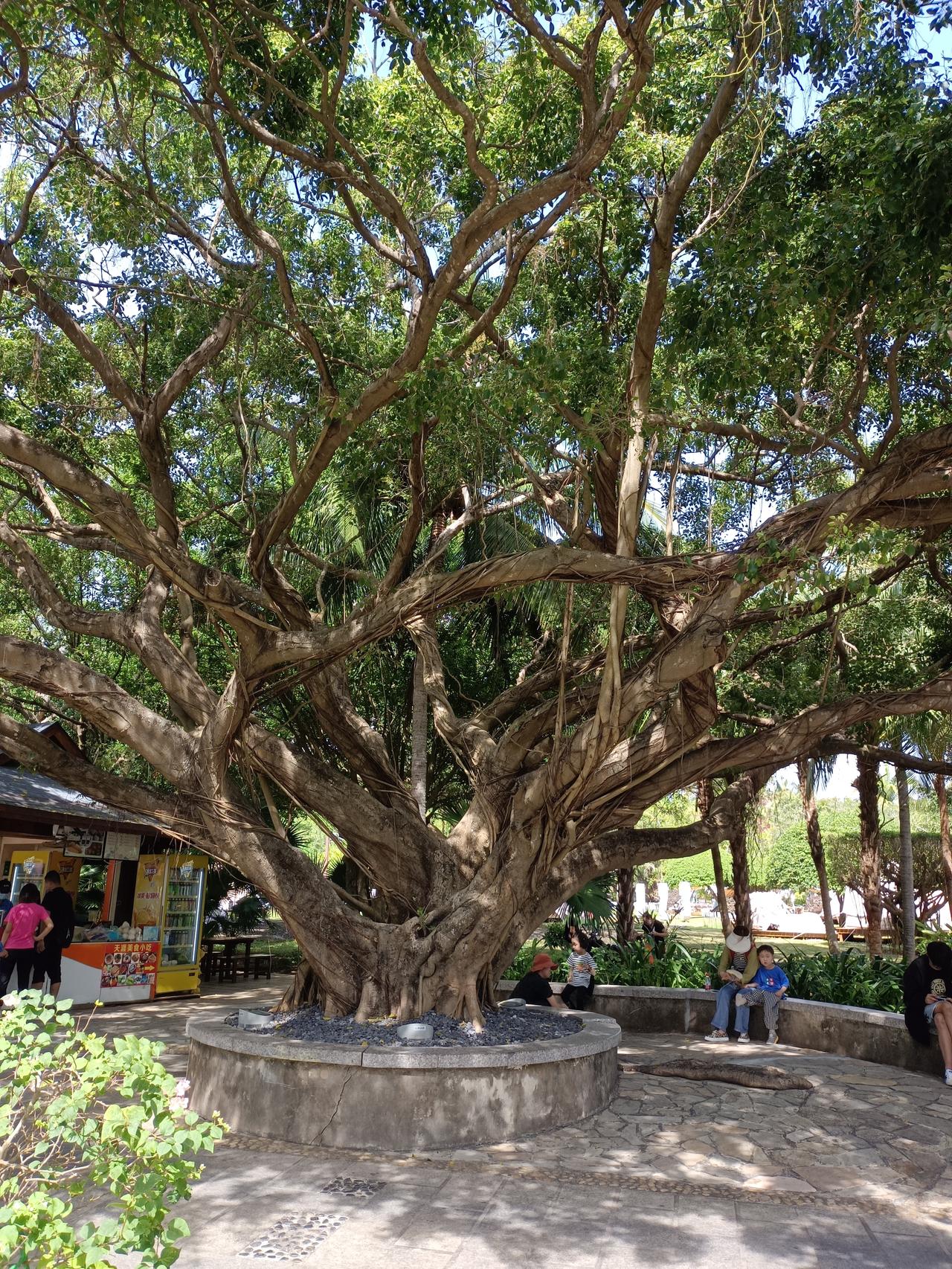 春回大地，气象更新！