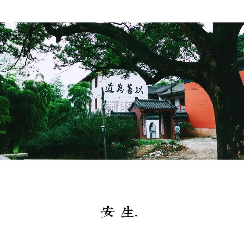 岁月留痕，人生留印，
为人处事，褒贬不一，
无论怎样？总归有影。
好生之德，念你