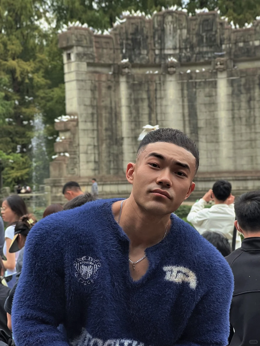 梧桐和锅贴会让我无比留恋这个城市