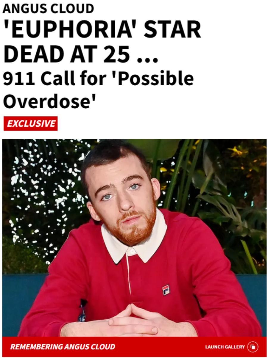 前不久，好莱坞演员 Angus Cloud (安格斯·克劳德) 于在加利福尼亚奥