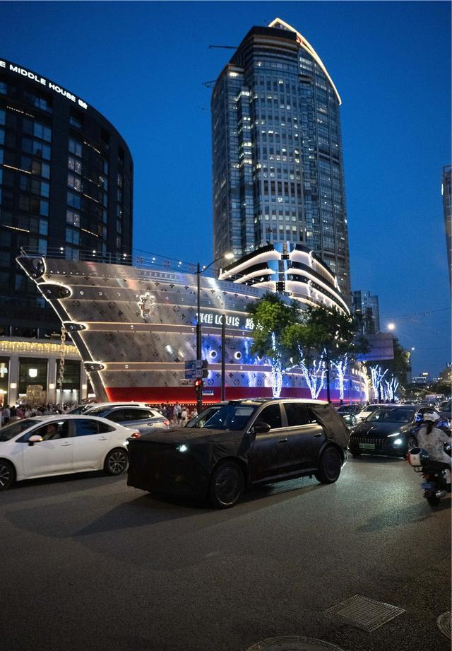 岚图汽车CEO卢放表示，在上海LV巨轮和上海华为园区附近出现的琵琶宝相花纹的伪装