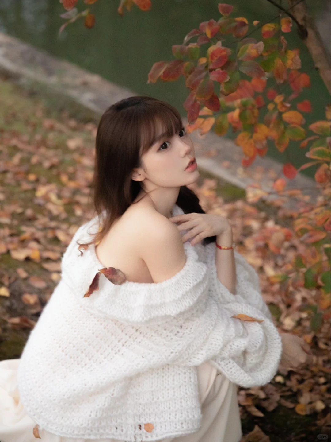 沉溺在温柔的光里🍁