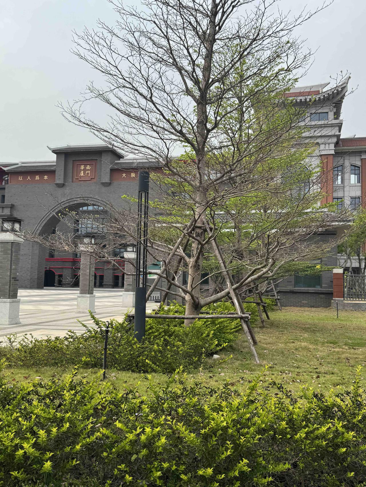 这些足足证明医院的各方面服务都不错，于是我就决定做手术！


没想到我成了半个残