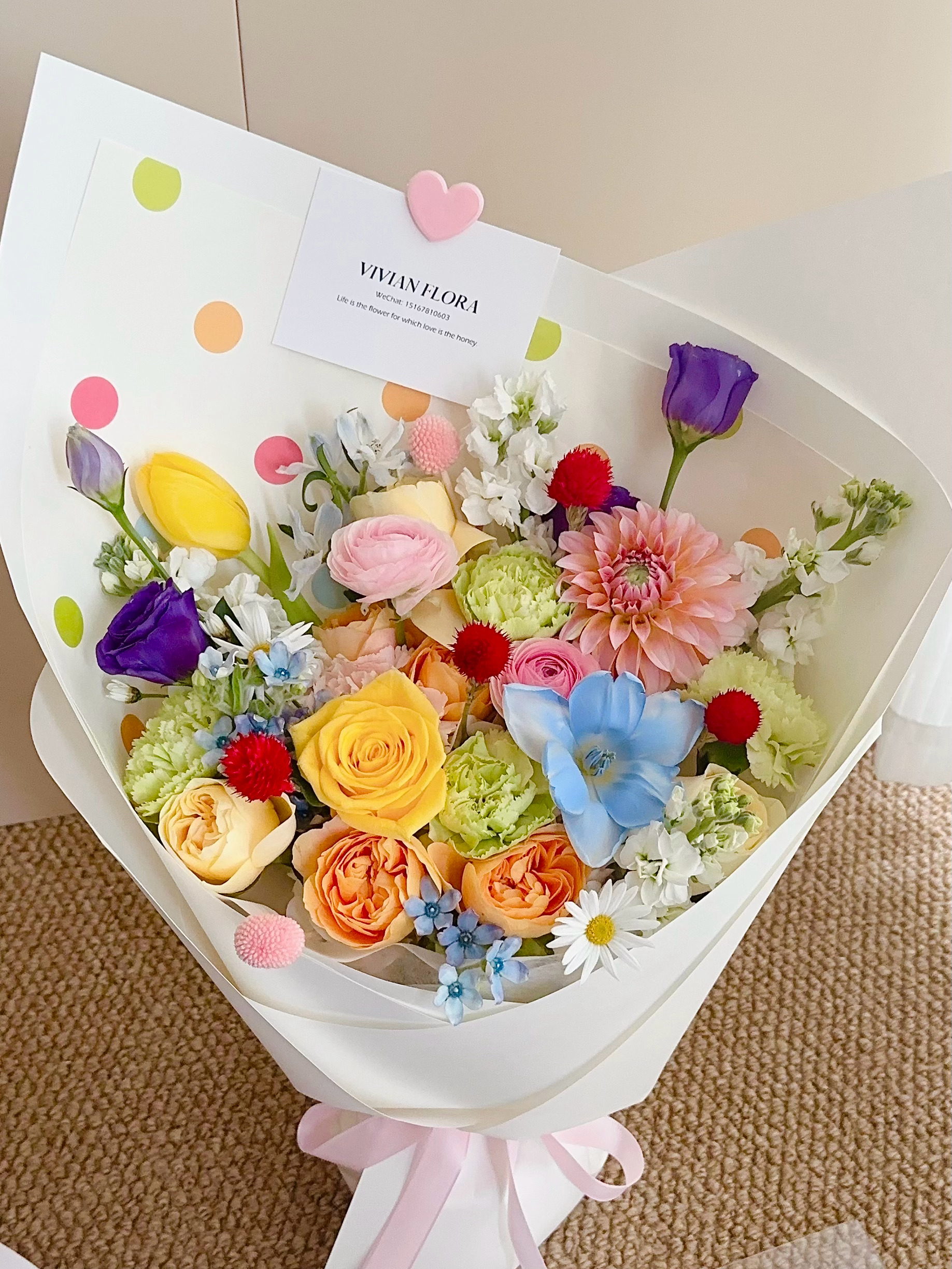 安娜公主 与 卓诗尼小王子的较量💐推杯换盏🍻永不打烊…… 龙港·龙港市